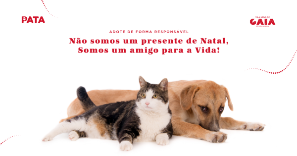 Campanha de sensibilização para adoção animal consciente na época natalícia